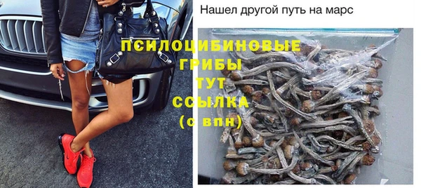 ALPHA PVP Надым