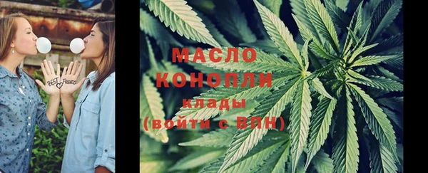 СК Михайлов