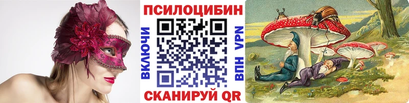 shop формула продажа наркотиков Козьмодемьянск Псилоцибиновые грибы ЛСД